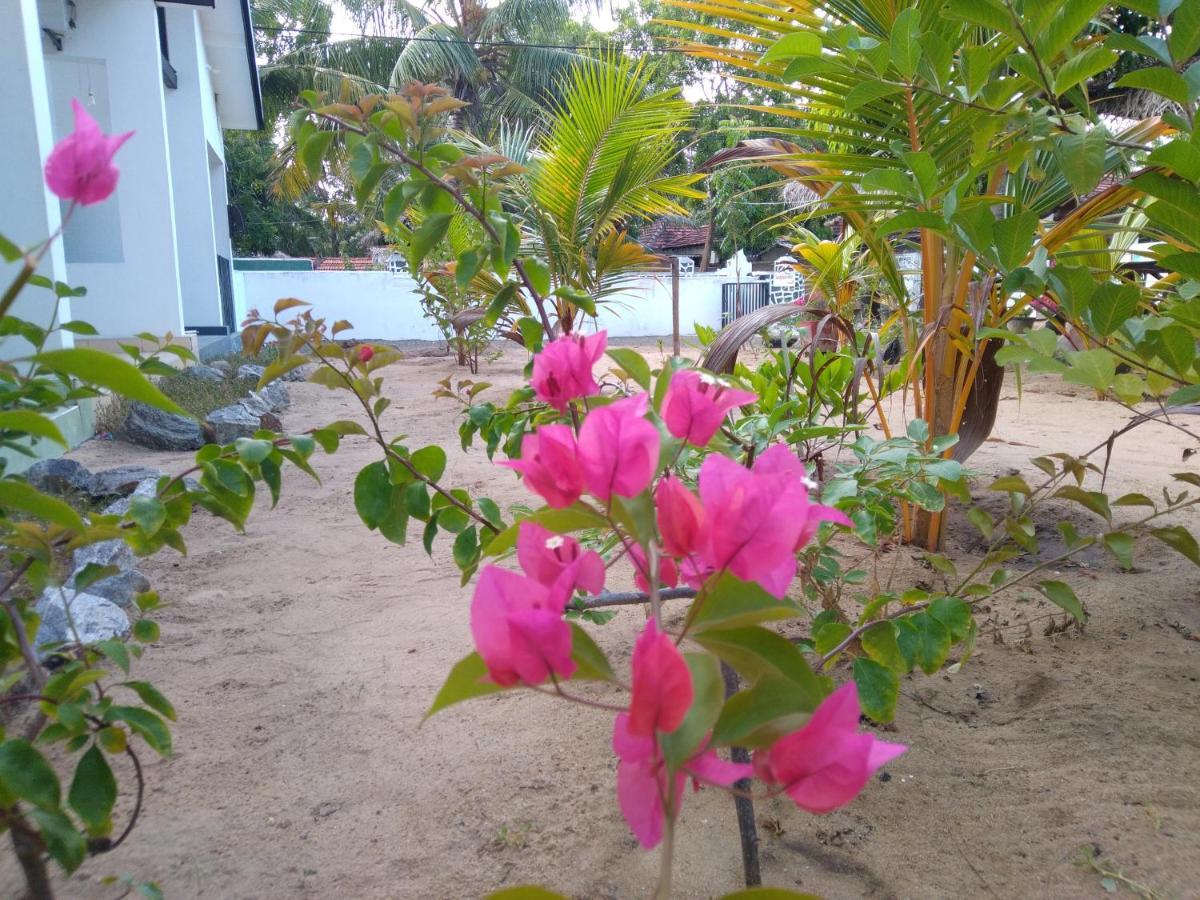 Arugam Bay Holiday Hotel Exterior photo